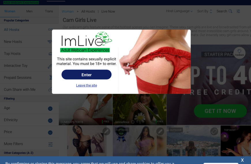 ImLive Review: Is It The Perfect Choice For You In 2023?