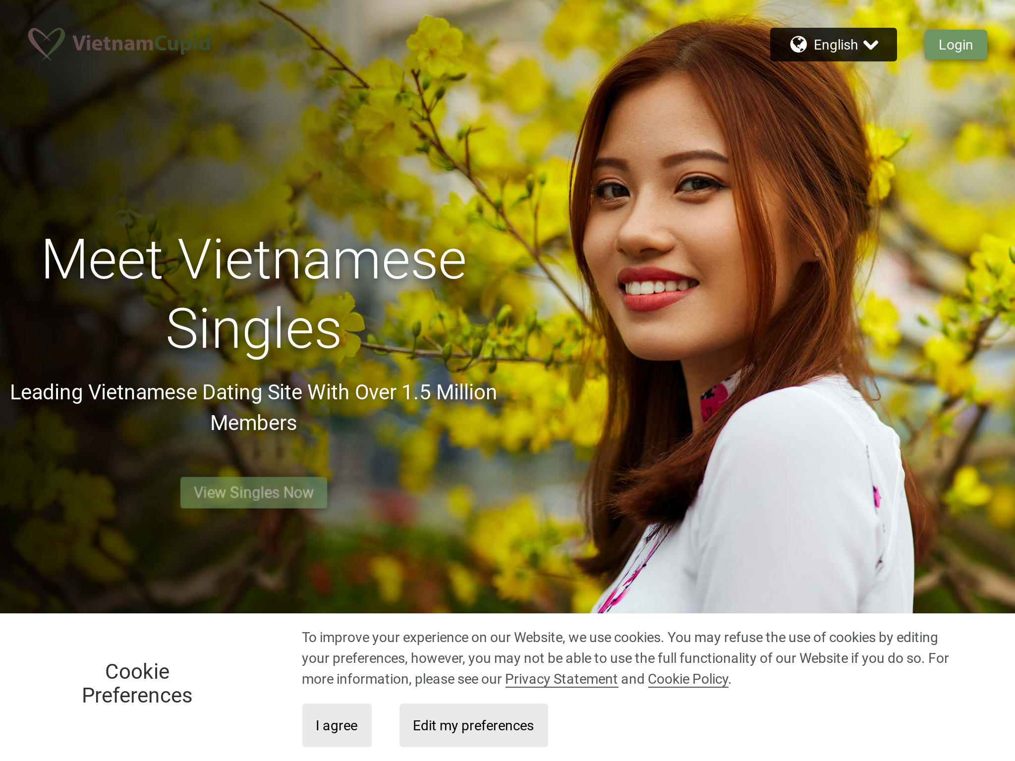 VietnamСupid Review 2023 – Is It Perfect Or Scam?